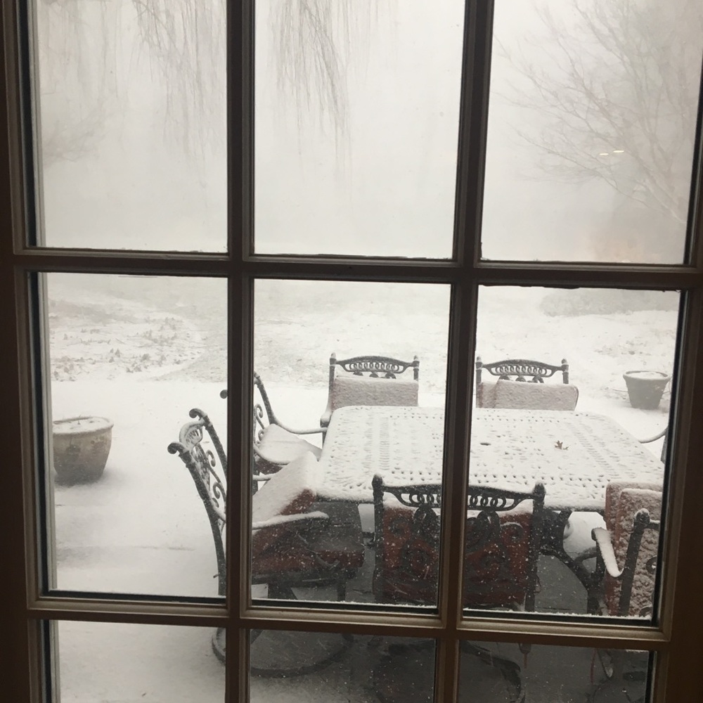 Meet your Posher, Madelynn